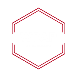 WCAP Mobile Car Detailing